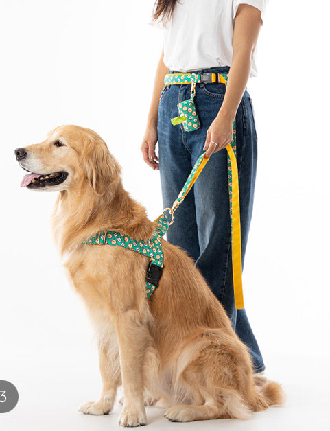 Scottie Friends Easy Harness(スコッティフレンズ イージーハーネス)