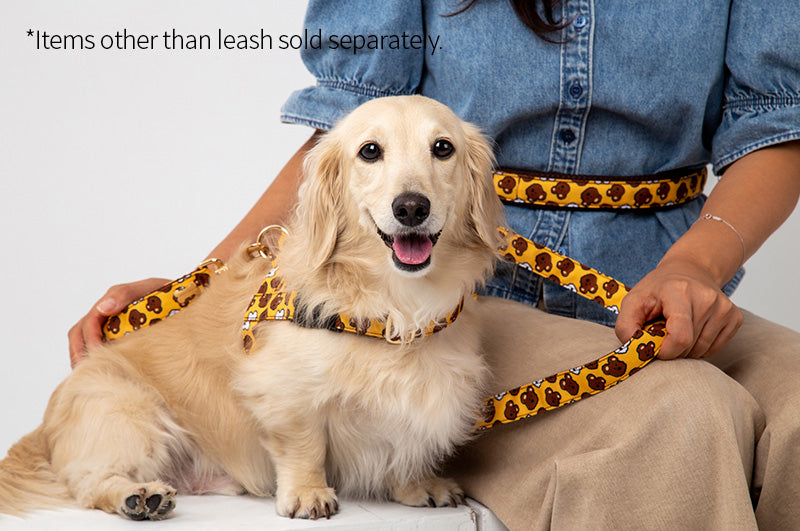 BoBo&ChuChu Belt Leash Up7kg(ボボ アンド チュチュ ベルトリード7kg以上)