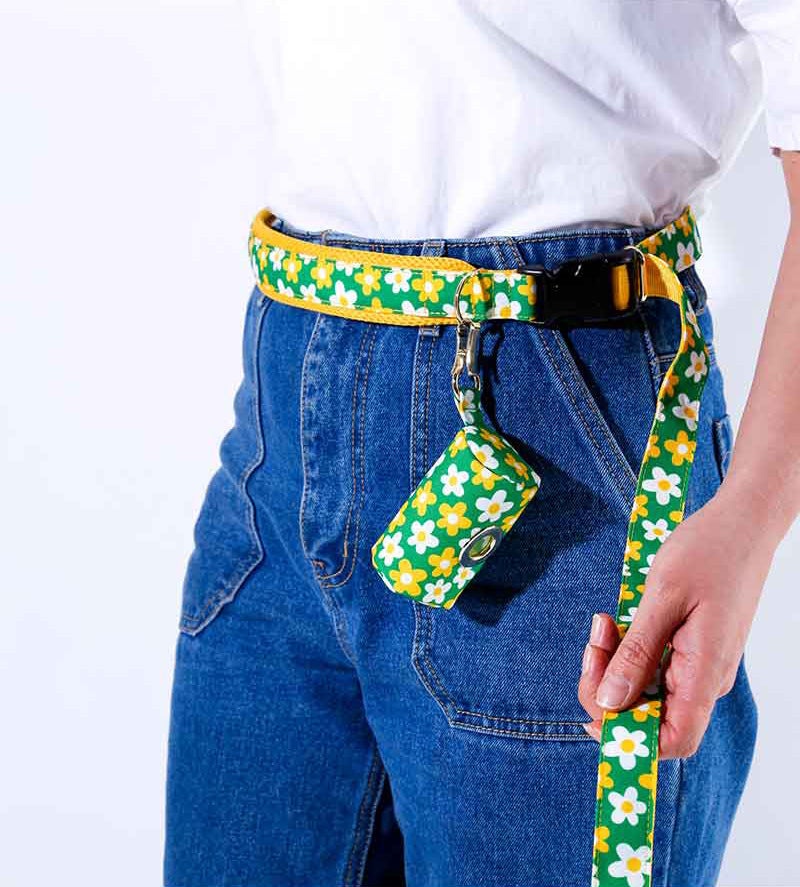 Picnic Belt Leash Up7kg(ピクニック ベルトリード7kg以上)