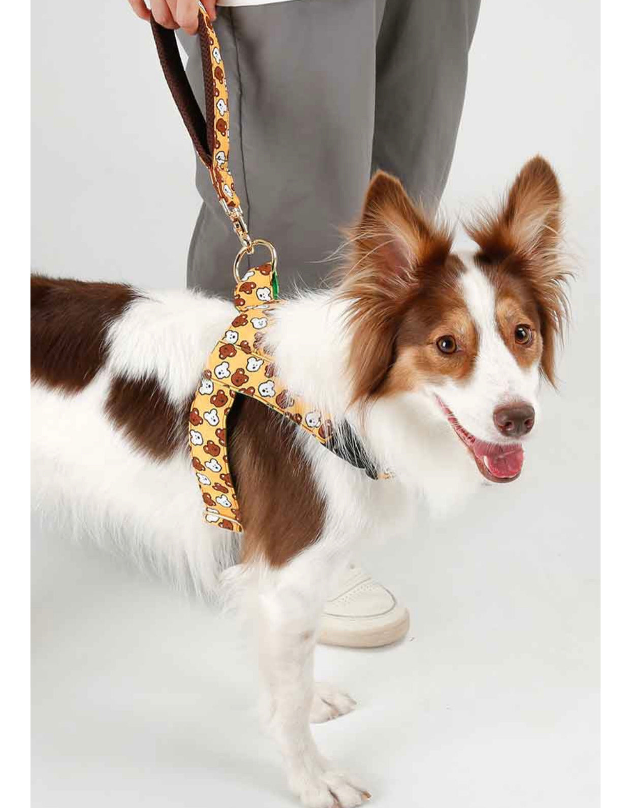 BoBo&ChuChu Short Leash(ボボ アンド チュチュショートリード)