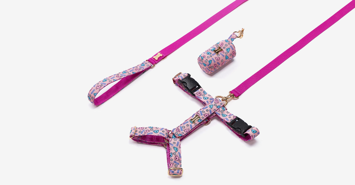 HARU H Harness(ハル エイチハーネス)