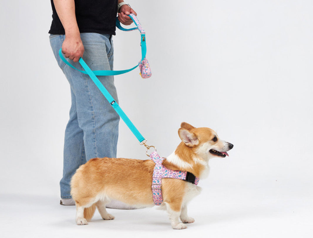 HARU Hand Leash Up7kg(ハル 手持ちリード7kg以上)