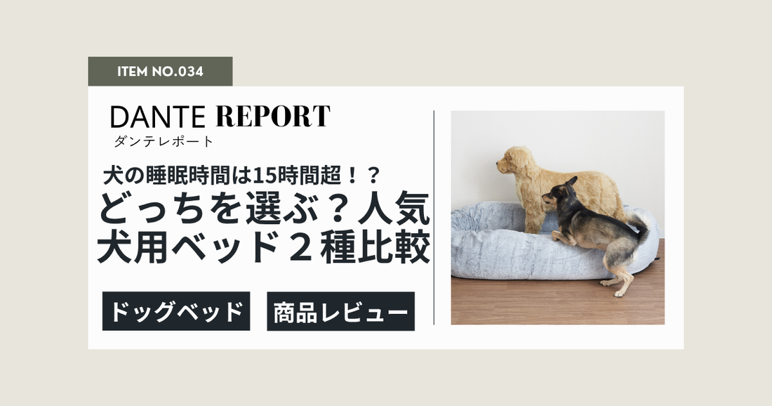 大型犬・超大型犬の快眠に！大人気ドッグベッド、どっちを選ぶ？guguドギーとguguハギーの選び方