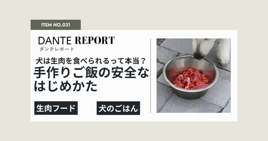 犬の生肉フードは市販肉でいいの？手作りごはんに犬用専門生肉をすすめる理由と安全な始め方