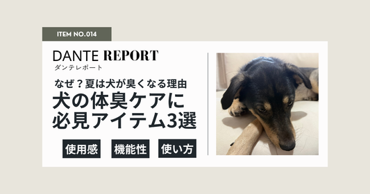 ダンテ店長コラム：夏になると犬がにおう理由とは？大型犬の体臭ケアにおすすめグッズ3選