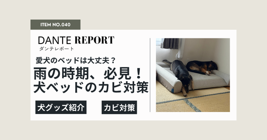 雨が続く季節、愛犬のベッドのカビ、大丈夫？ドッグベッドのカビとにおいを防ぐメンテナンス
