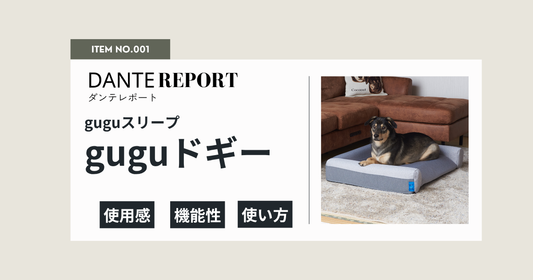 ダンテ店長レポート：guguドギー