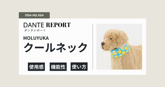 ダンテ店長レポート：MOLUYUKAクールネック