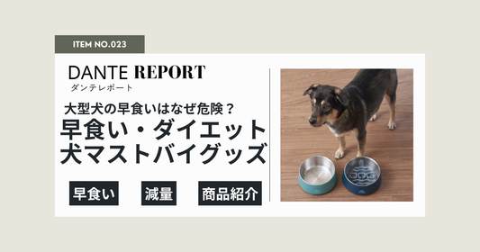 ダンテ店長コラム：大型犬は「早食い」が危ない！？ダンテ店長が19キロから17キロになったダイエット方法と、おすすめごはんグッズ