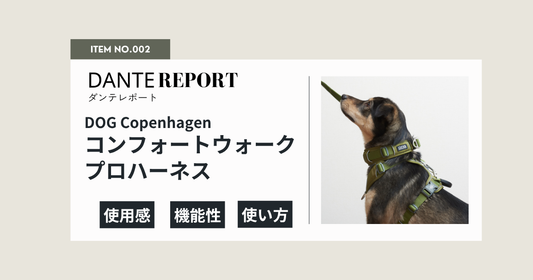 ダンテ店長レポート：DOG Copenhagenコンフォートウォークプロハーネス