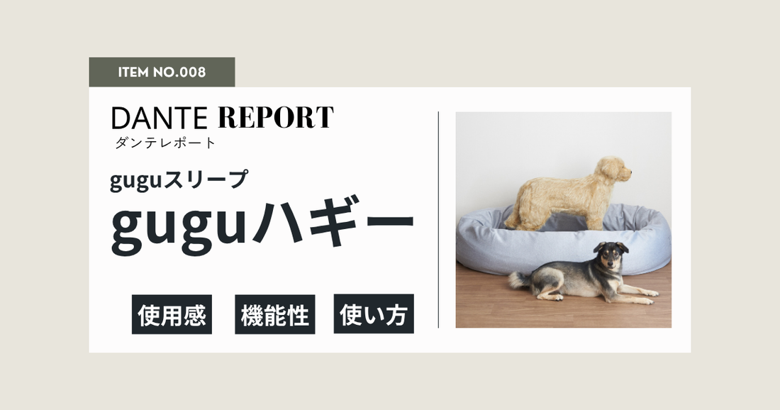 ダンテ店長レポート：guguハギー