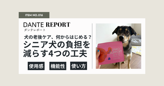 ダンテ店長コラム：大型犬は6歳からがシニア。年をとっても犬生を楽しむために、今からできること