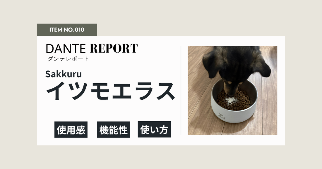 ダンテ店長レポート：イツモエラス