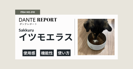 ダンテ店長レポート：イツモエラス