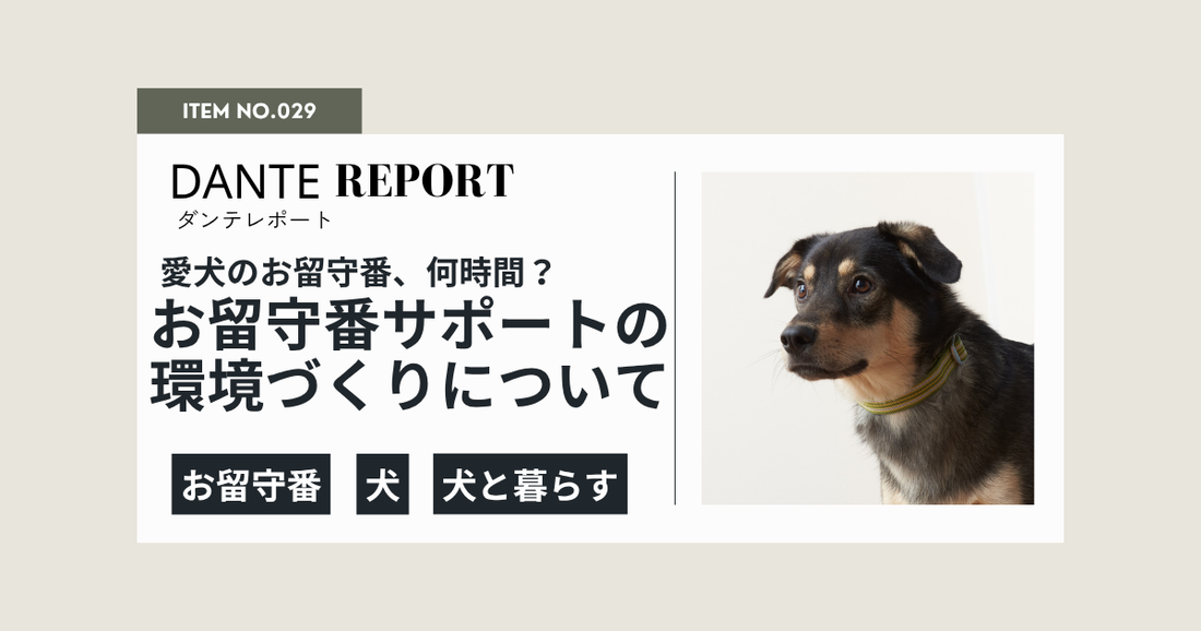 犬のお留守番は何時間まで？大型犬のストレスを減らす環境づくりとベッドの選び方