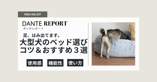ダンテ店長コラム：足、はみ出てます。大型犬のベッド選びのコツとおすすめ3選