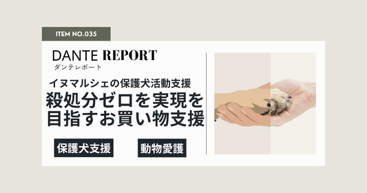 イヌマルシェの目指す「ずっとの支援」のカタチ。イヌマルシェでのお買い物が保護犬活動支援金になる「ワンバサダープロジェクト」スタートのお知らせ