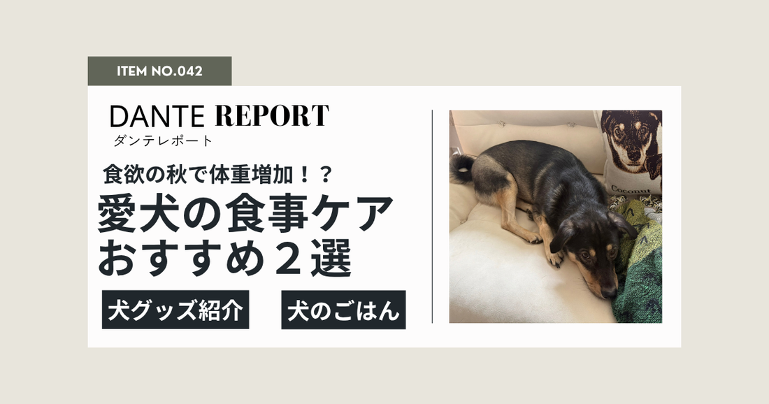 食欲の秋、愛犬の体重管理は大丈夫？犬の食事ケアのおすすめアイテム２選