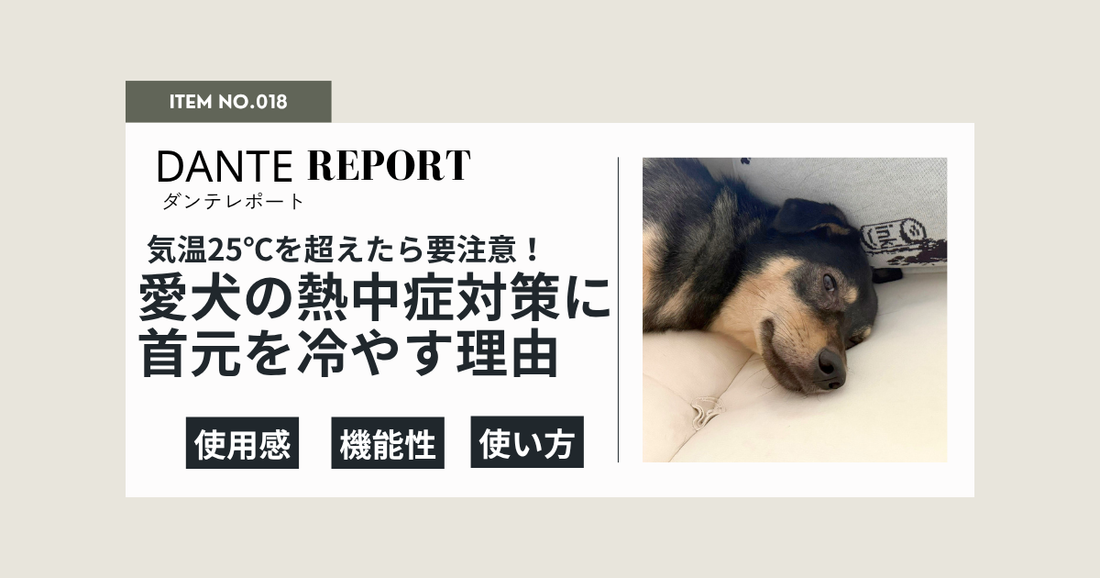 ダンテ店長コラム：夏のお散歩にはクールネック。首を冷やす理由とは？