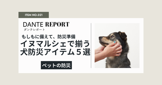 ダンテ店長コラム：もしものために、イヌマルシェでそろう。犬と家族のための防災アイテム５選