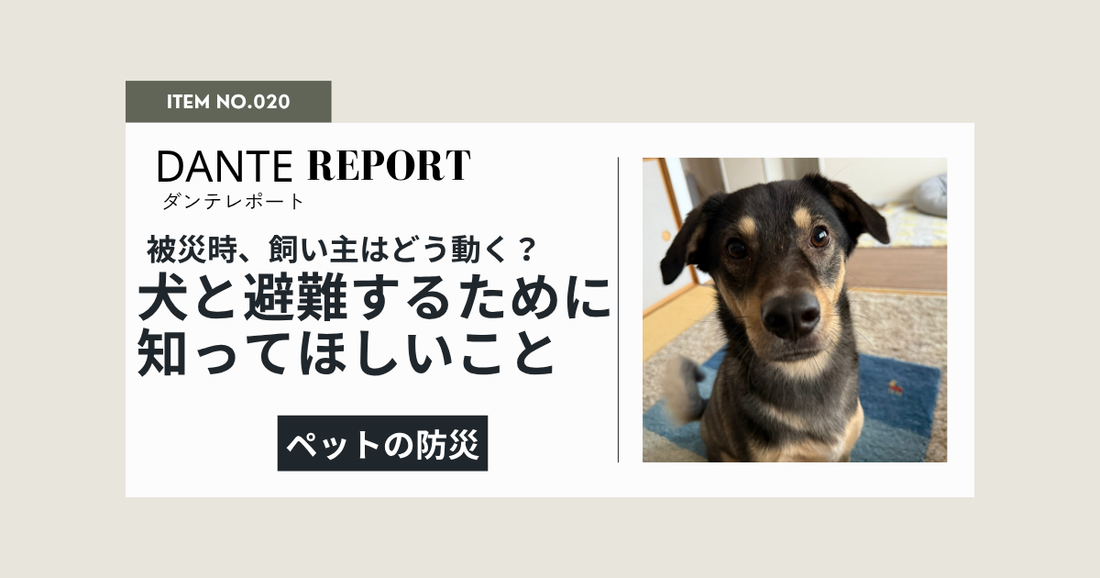 ダンテ店長コラム：犬と一緒に避難するとき、知っておいてほしいこと。熊本地震を受けて伝えたいこと