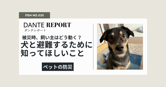 ダンテ店長コラム：犬と一緒に避難するとき、知っておいてほしいこと。熊本地震を受けて伝えたいこと