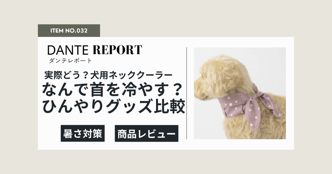 犬のクールネック、実際どう？イヌマルシェで取り扱っている2種の比較とレビュー