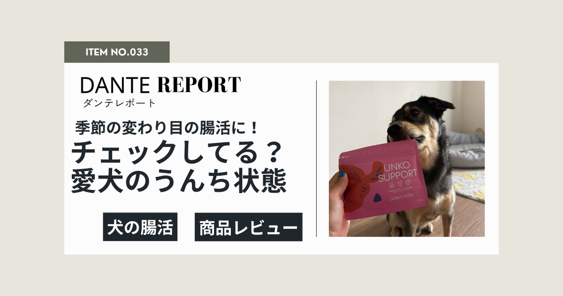 大型犬の腸活に！うんちを見れば、今日の体調がわかる！？