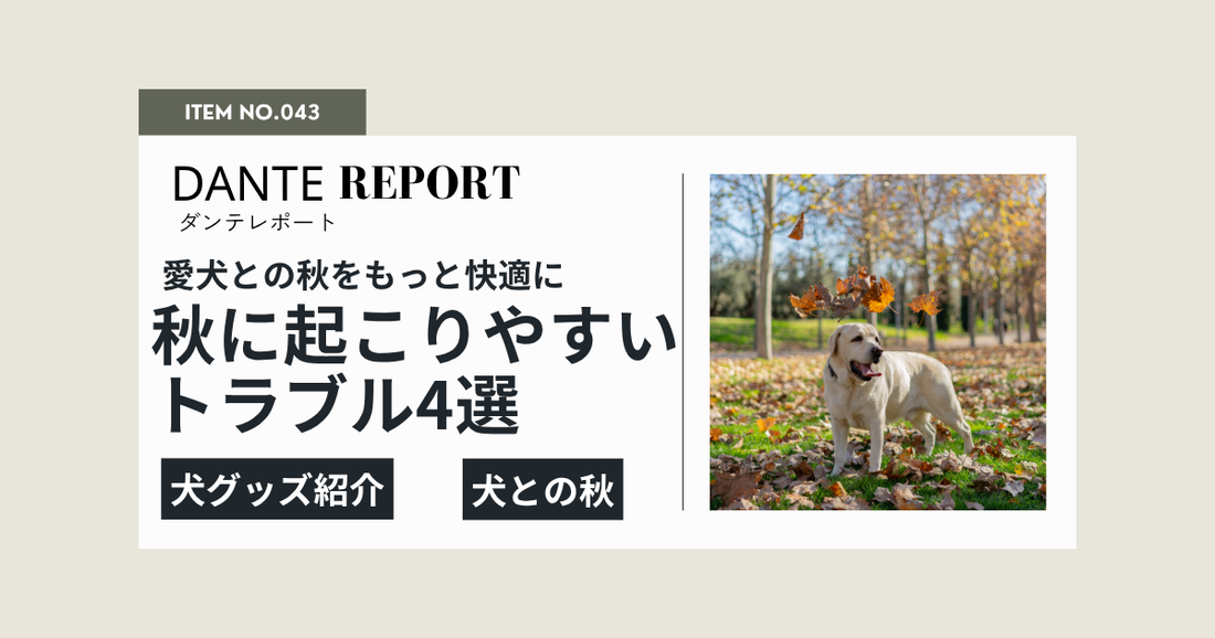 獣医師も注意を呼びかける、秋に犬に起こりやすいトラブル4選