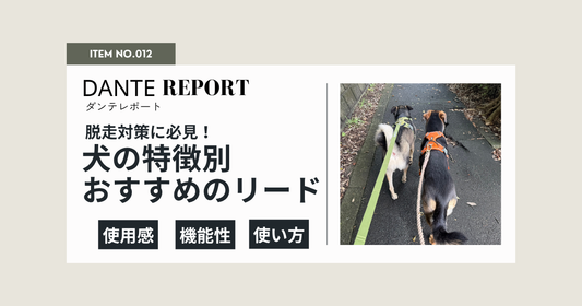 ダンテ店長コラム：お散歩リード、そろそろ買い替え時かも？金具の劣化チェックと、犬のくせ別おすすめリード2選