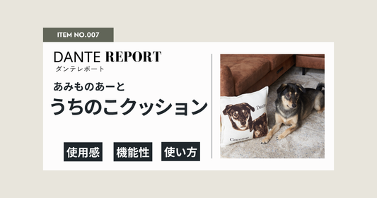 ダンテ店長レポート：うちのこニットクッション