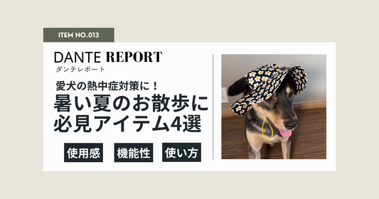 ダンテ店長コラム：気温25℃が犬の熱中症のボーダーライン。大型犬の飼い主さんに知ってほしい、夏のお散歩の注意点とおすすめ対策グッズ4選
