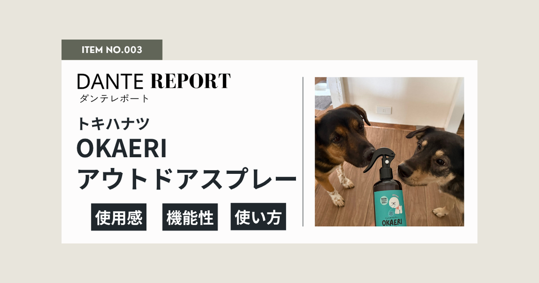 ダンテ店長レポート：OKAERI アウトドアスプレー