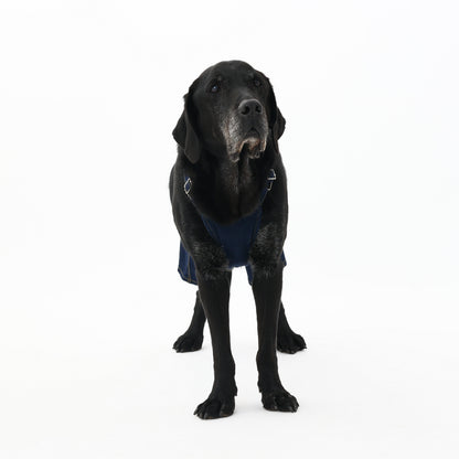 プレミアムスキンケア デニムオーバーオール for pets