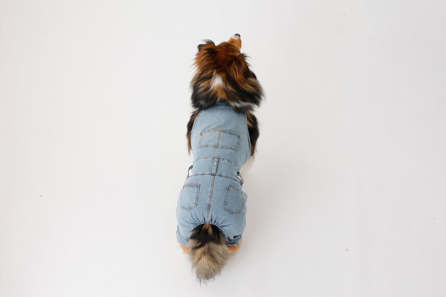 プレミアムスキンケア デニムオーバーオール for pets