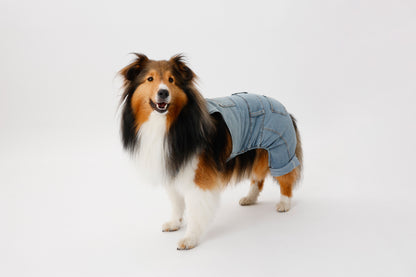 プレミアムスキンケア デニムオーバーオール for pets