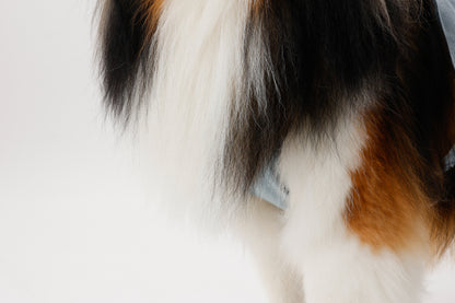プレミアムスキンケア デニムオーバーオール for pets