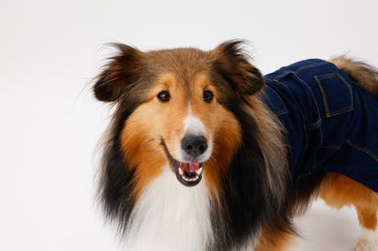 プレミアムスキンケア デニムオーバーオール for pets