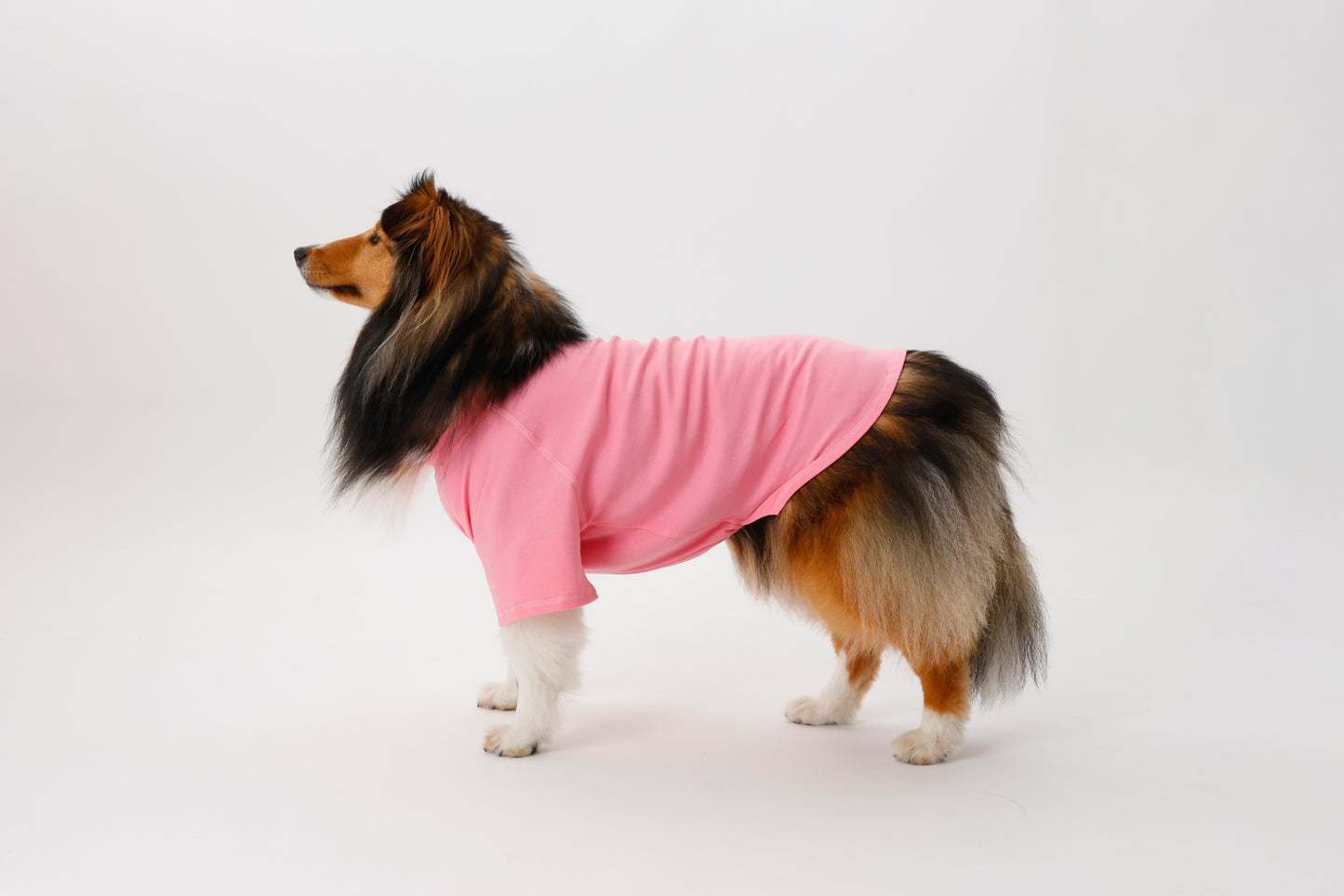 プレミアムスキンケア Tシャツ for pets