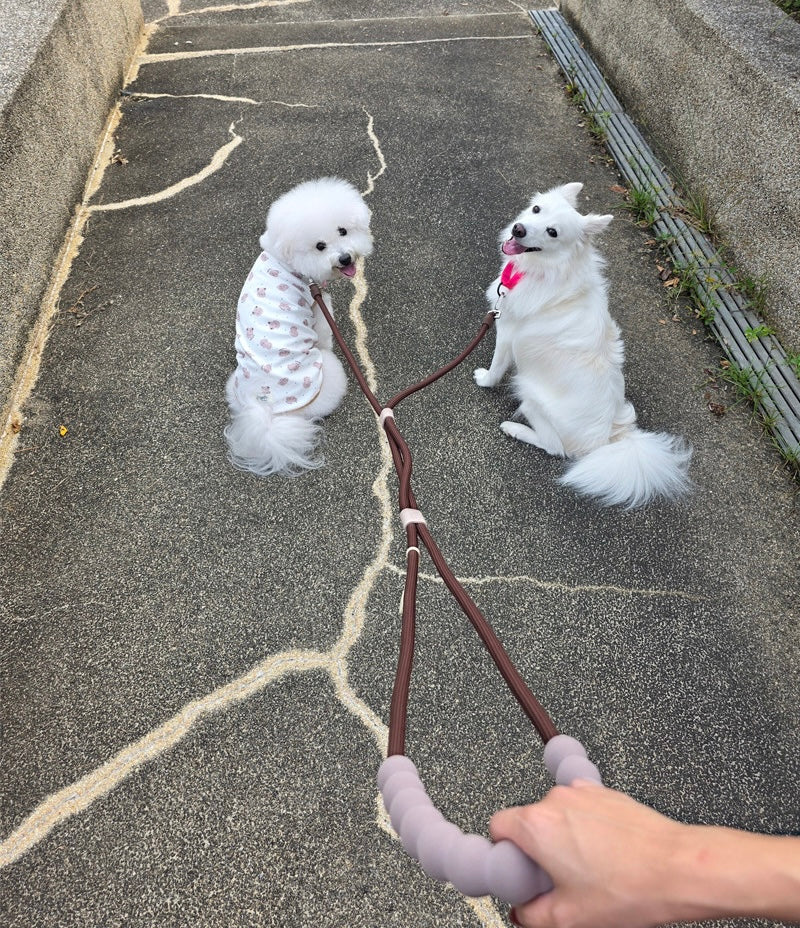バブルリードクラシック ダブル