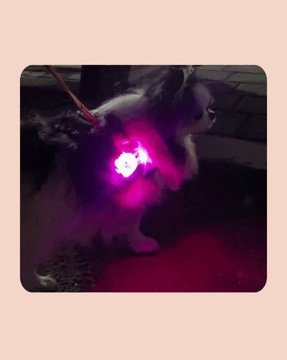 充電式LEDブリンカーライト