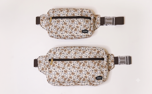 Teddy C Fancy Bag(ファンシーお散歩バッグ）