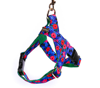 Blue Garden Easy Harness(ブルーガーデン イージーハーネス)