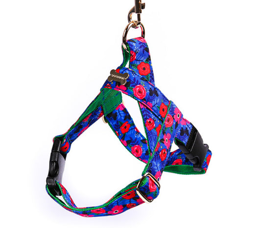 Blue Garden Easy Harness(ブルーガーデン イージーハーネス)