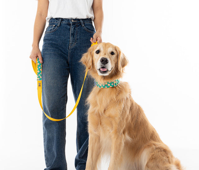 Scottie Friends Hand Leash Up7kg(スコッティフレンズ手持ちリード7kg以上)