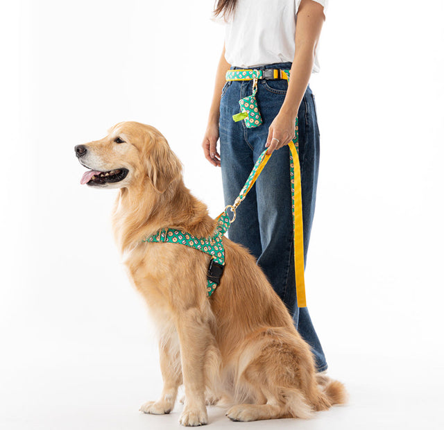 Scottie Friends Belt Leash Up7kg(スコッティフレンズ ベルトリード７kg以上）