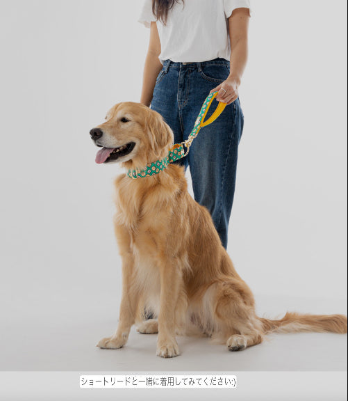 HARU Short Leash(ハル ショートリード）