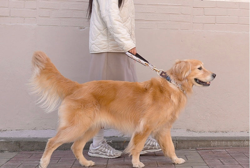 HARU Short Leash(ハル ショートリード）
