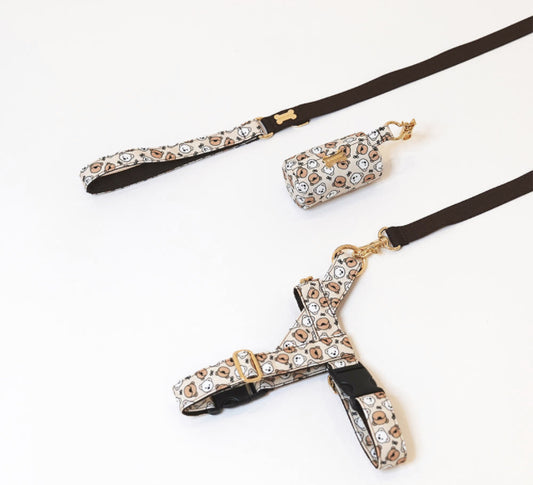 Teddy C Hand Leash Up7kg(手持ちリード7kg以上)