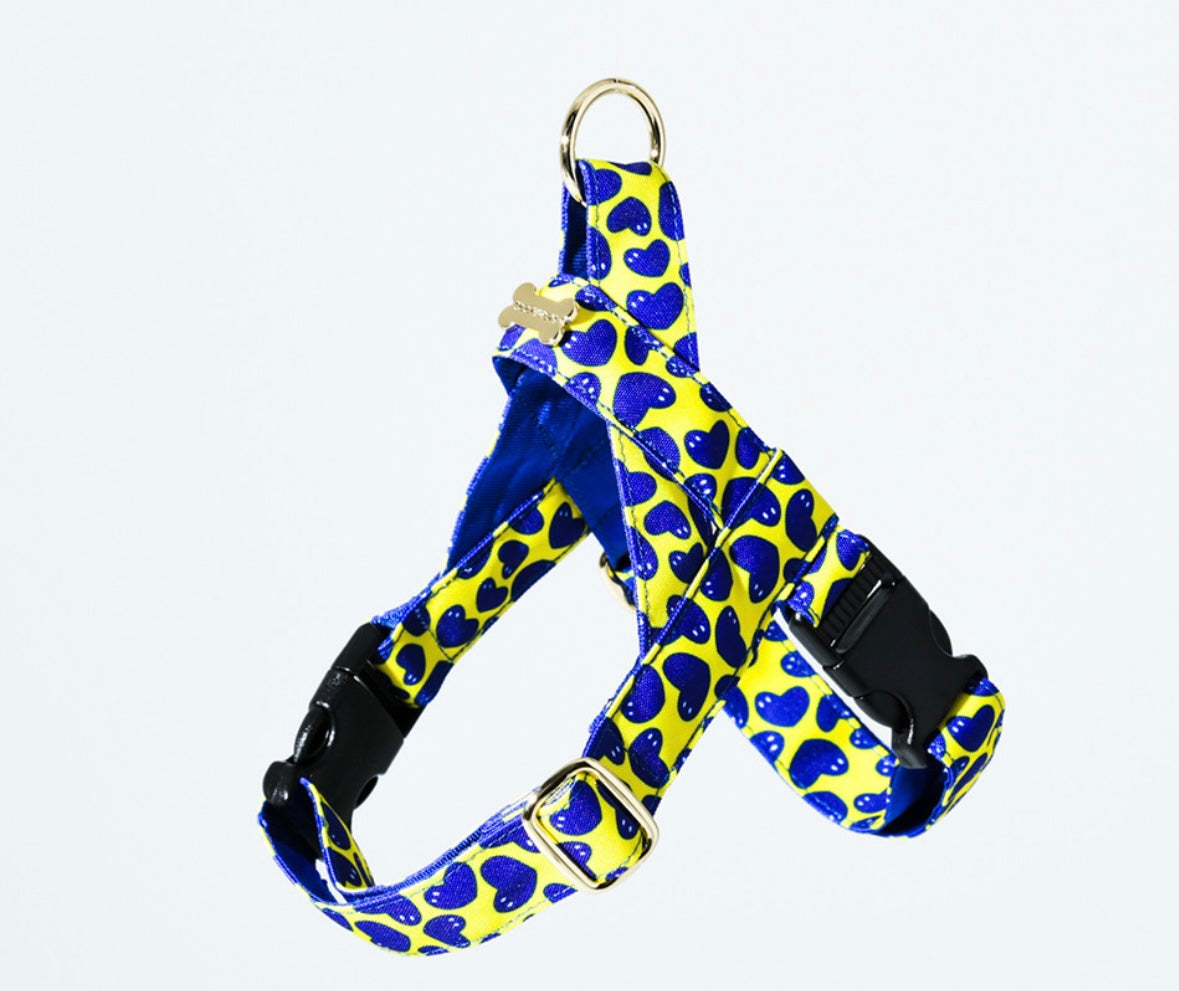 Pier39 Easy Harness(ピア39 イージーハーネス)